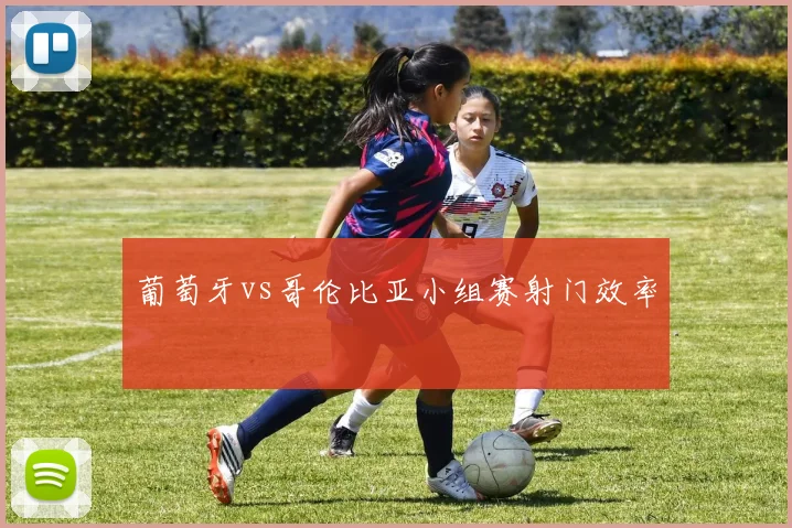 葡萄牙vs哥伦比亚小组赛射门效率