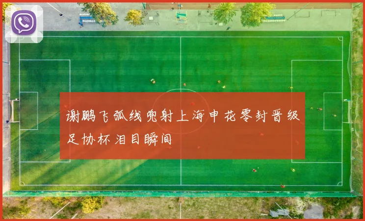 谢鹏飞弧线兜射上海申花零封晋级足协杯泪目瞬间