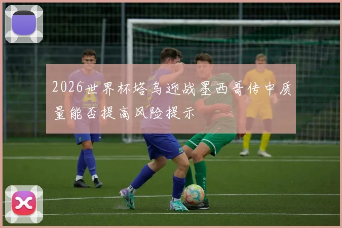 2026世界杯塔乌迎战墨西哥传中质量能否提高风险提示