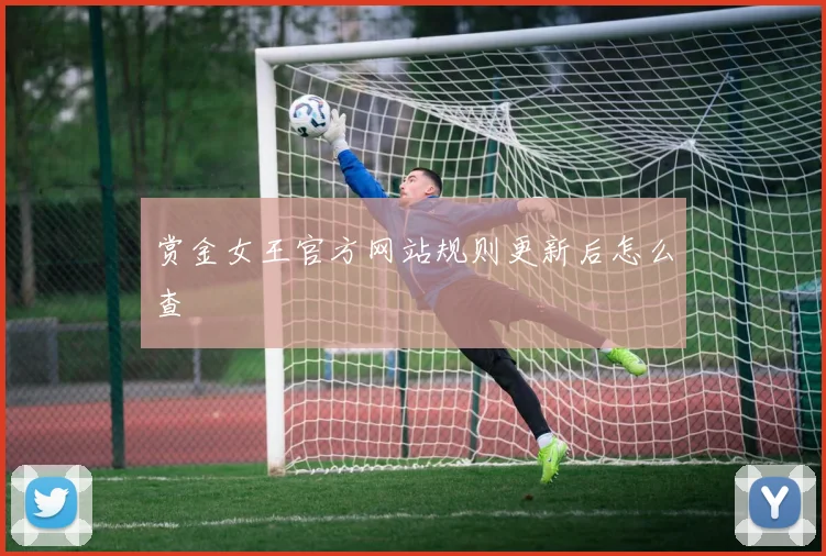 赏金女王官方网站规则更新后怎么查