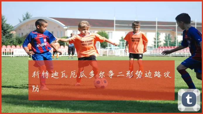 科特迪瓦厄瓜多尔争二形势边路攻防